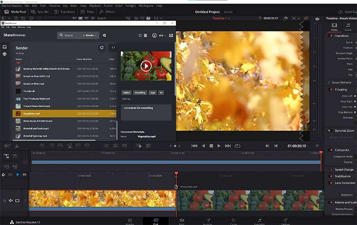 ShareBrowser media asset management MAM workflow integration plugin for DaVinci Resolve video editing software